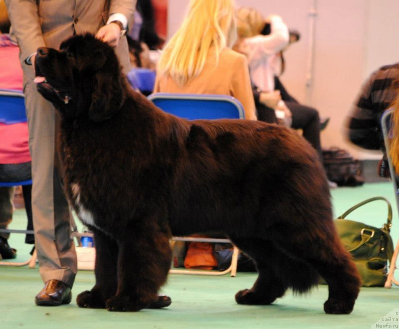 Фото: Blu Emperor of Newfoundland Hills