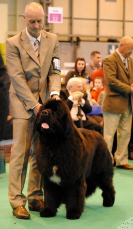 Фотография № 119248