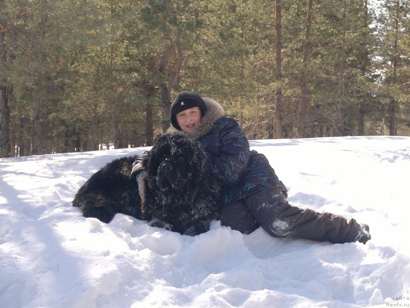 Фото: Елена Гриценко