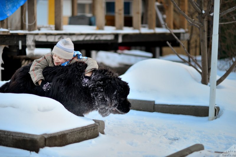 Фото: Инга Мезенцева