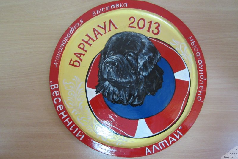 Фотография № 119393