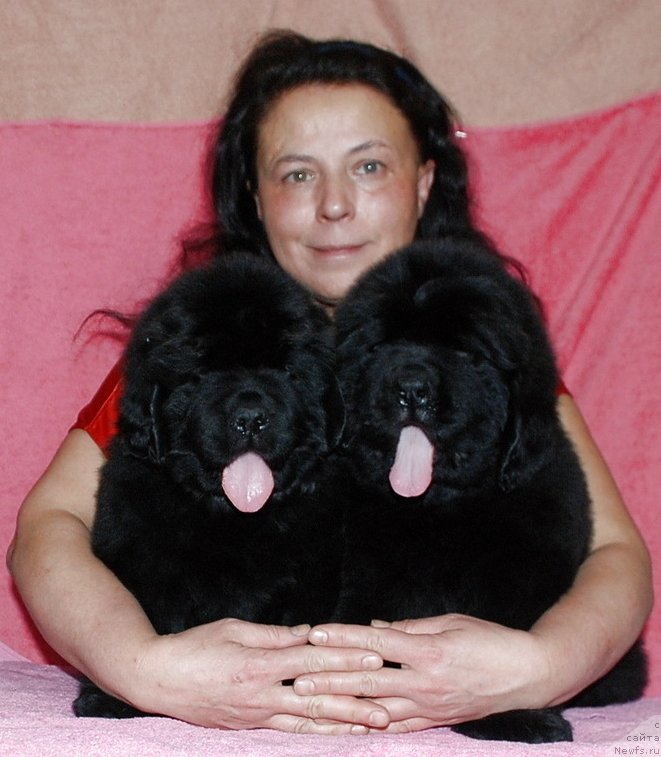 Фото: Белкондер Клаб Достучаться до Небес и Белкондер Клаб Добрыня Мистер Ферст