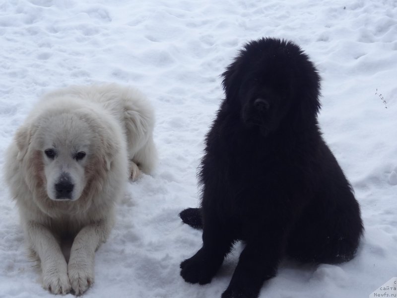 Фотография № 119427