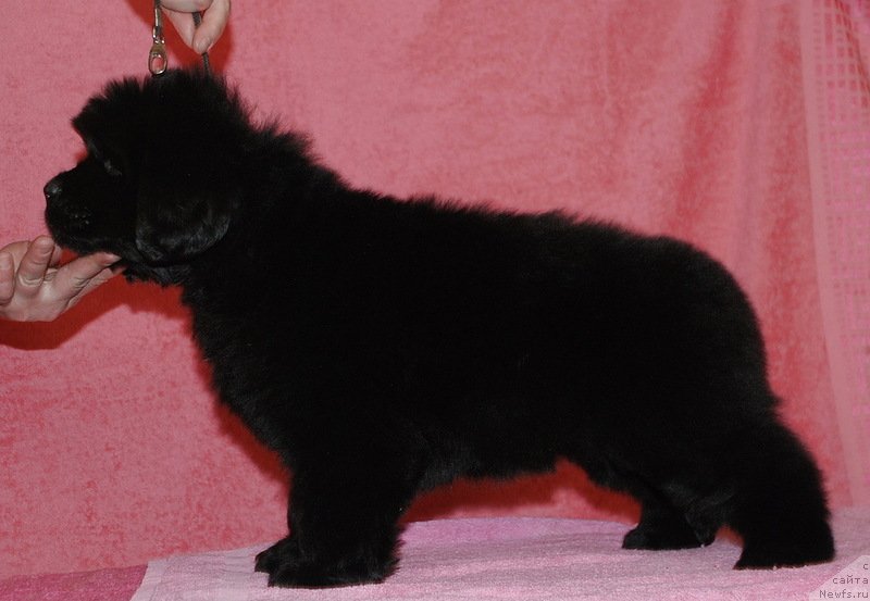 Фото: Белкондер Клаб Достучаться До Небес