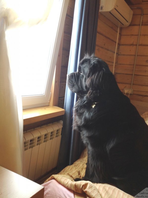 Фотография № 119477