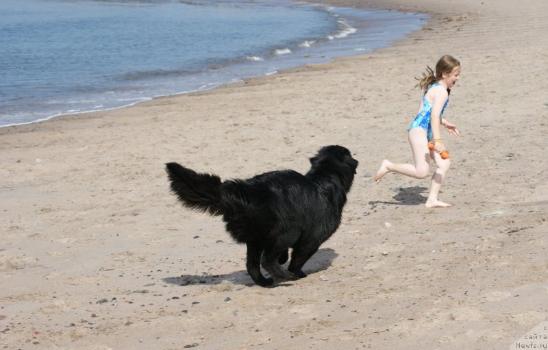 Фотография № 119485