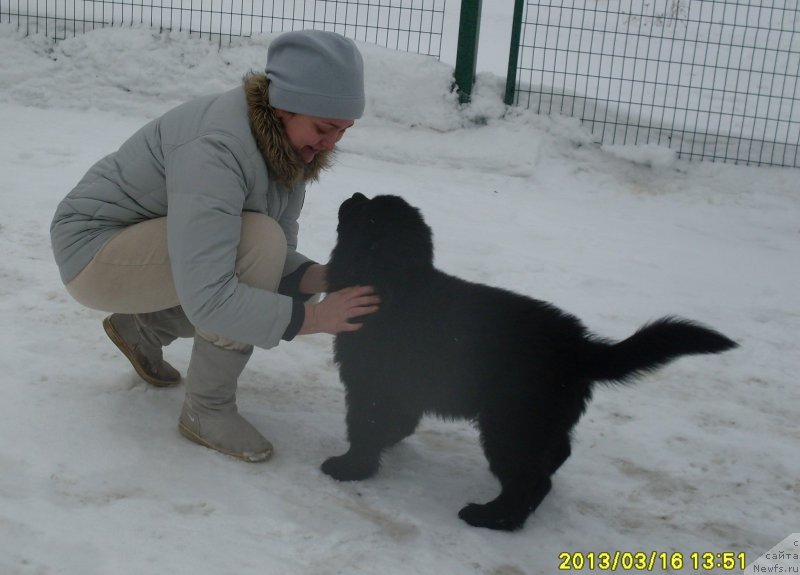 Фотография № 119490