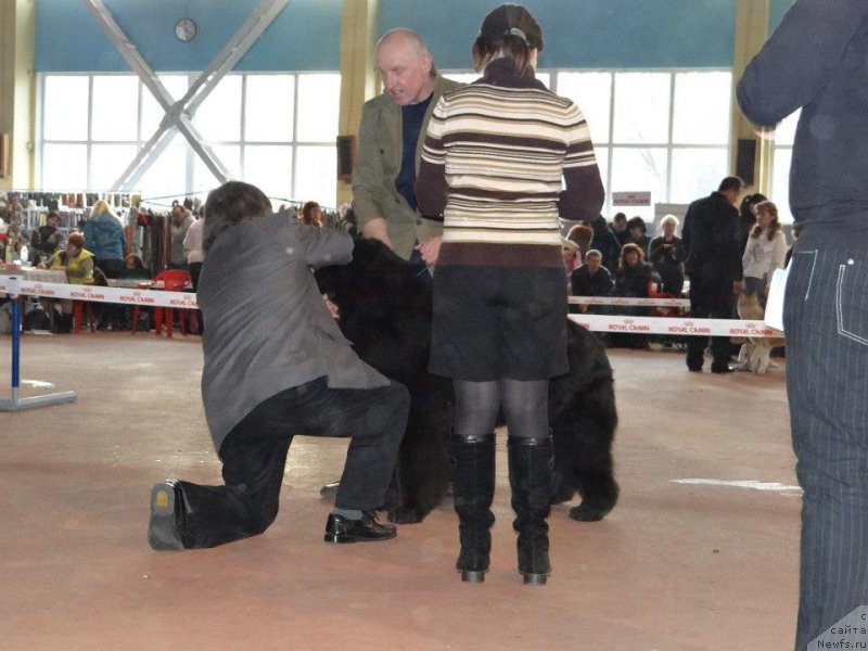 Фотография № 119498