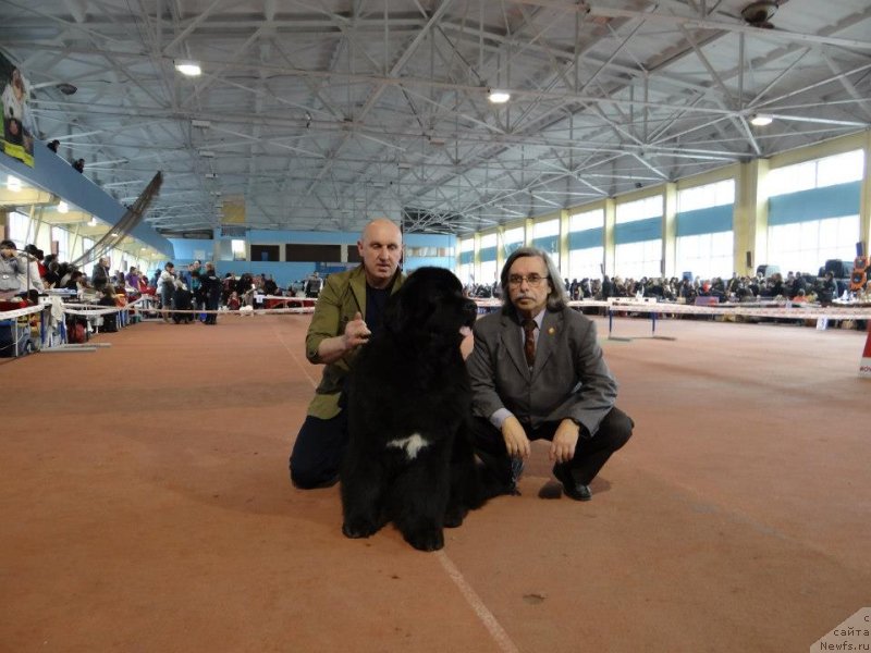 Фотография № 119501