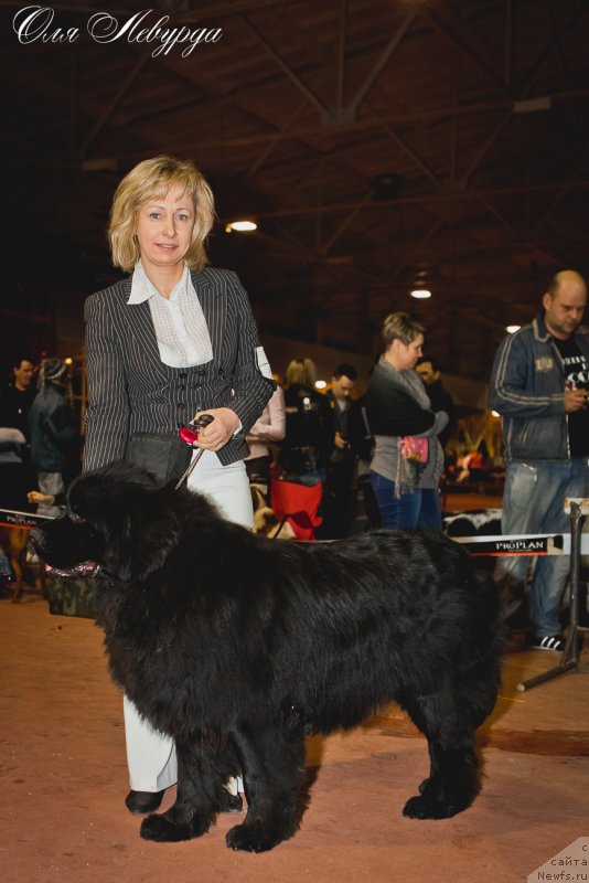 Фотография № 119506