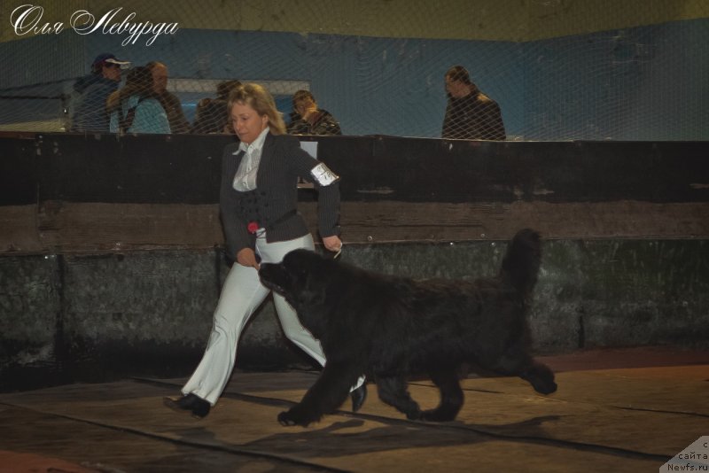 Фотография № 119509