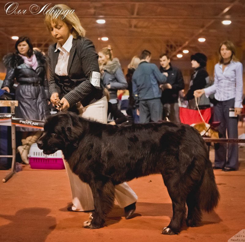 Фотография № 119519