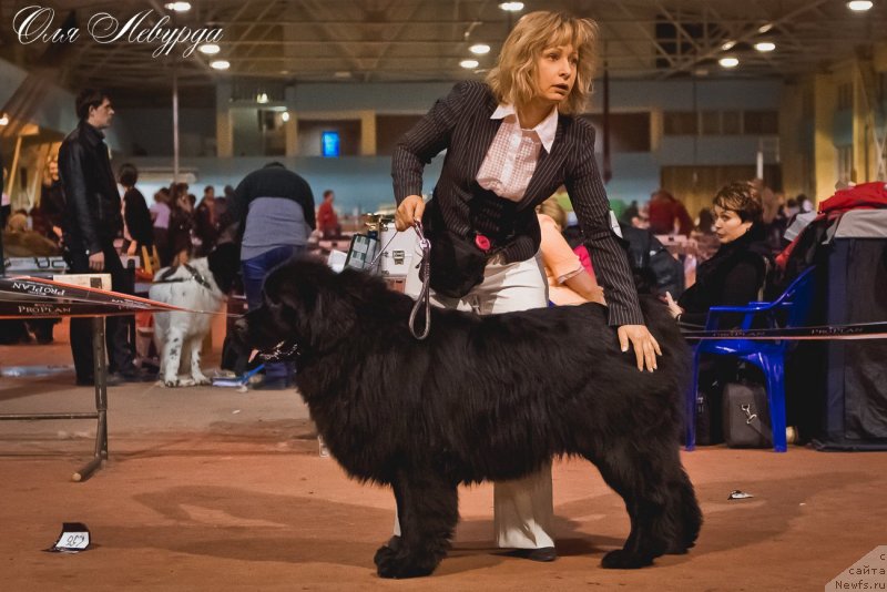 Фотография № 119521