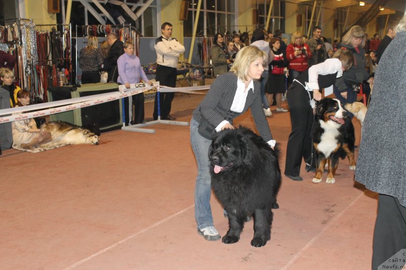 Фотография № 119526