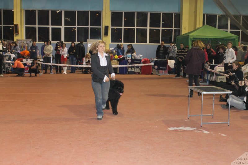 Фотография № 119527