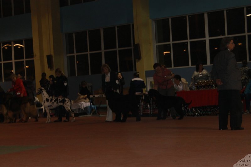 Фотография № 119530