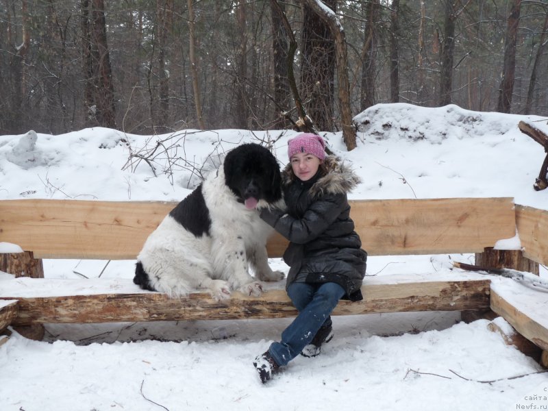 Фотография № 119570