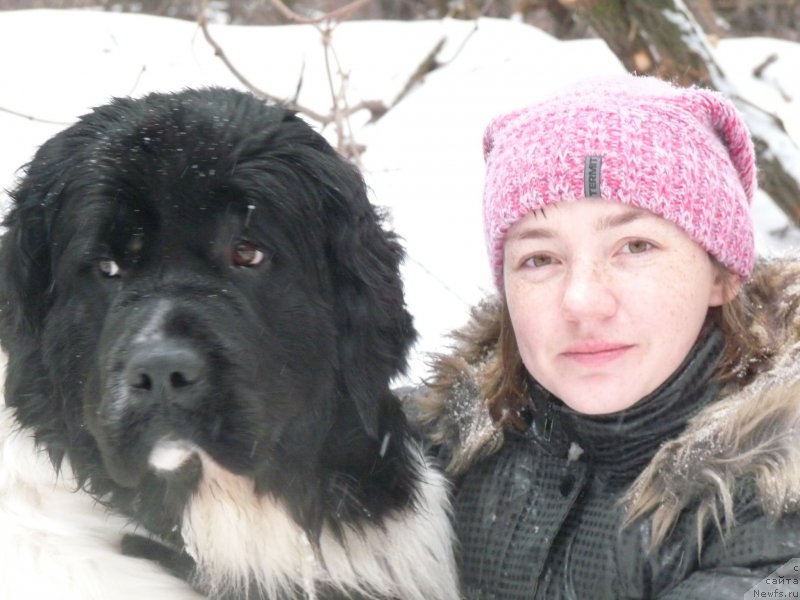 Фотография № 119571