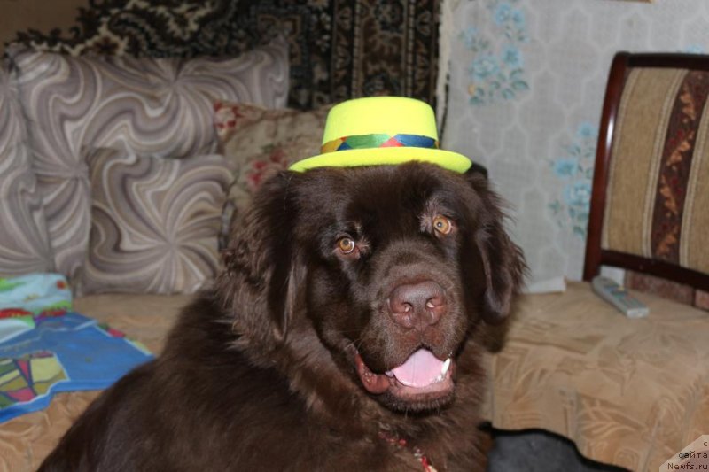 Фотография № 119579