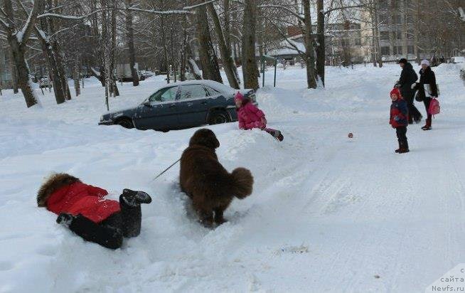 Фотография № 119580