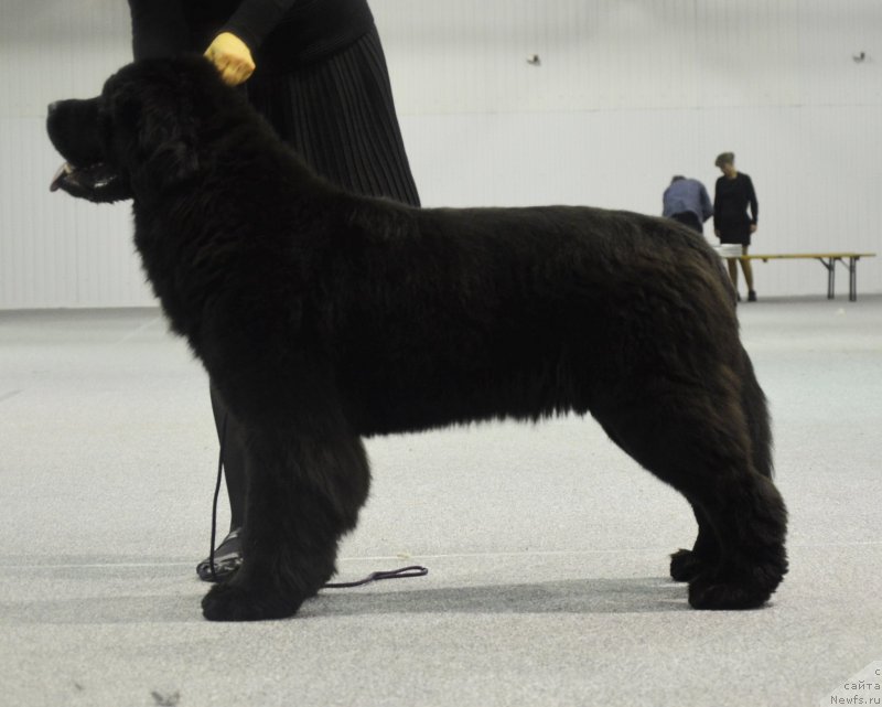 Фотография № 119594