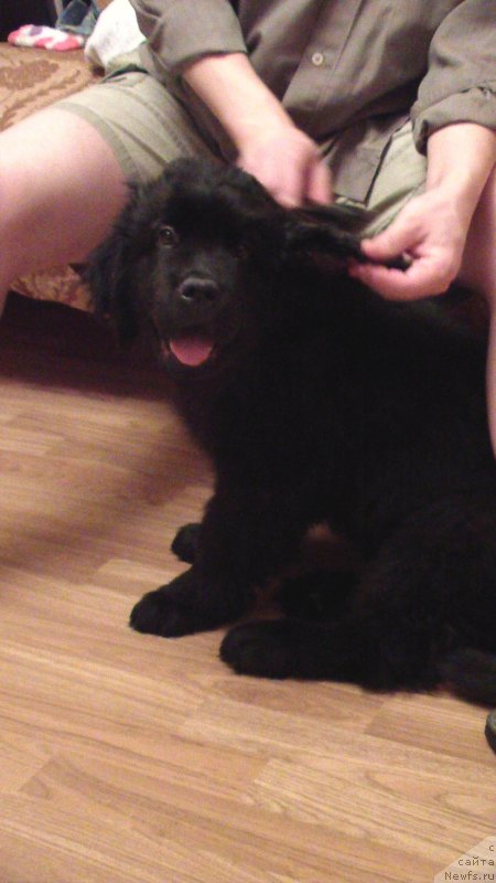 Фотография № 119616