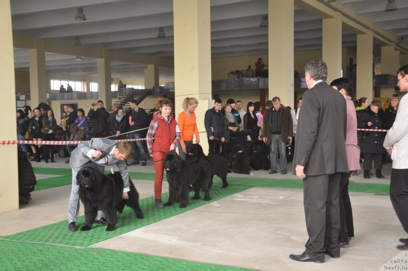 Фотография № 119623