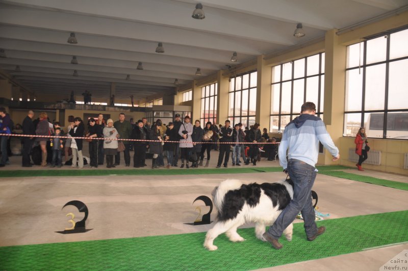 Фотография № 119647