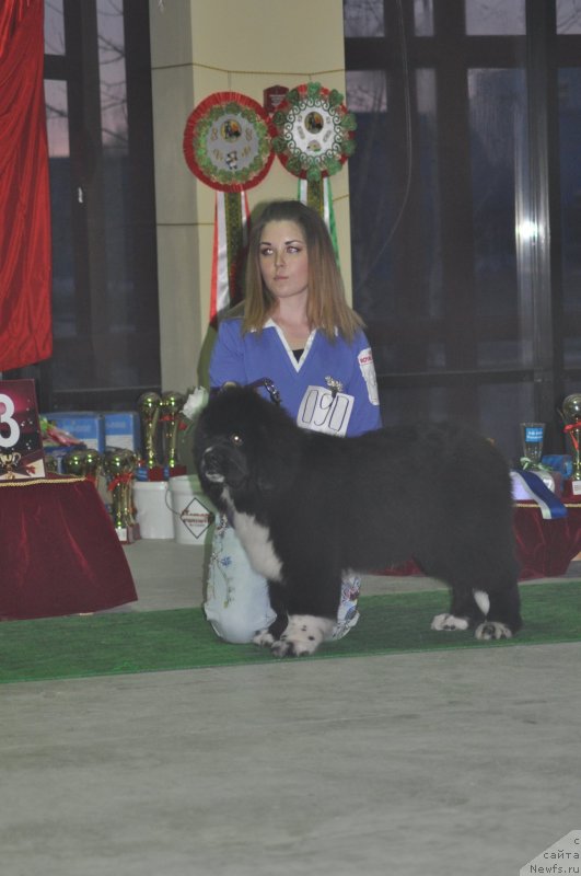 Фотография № 119660