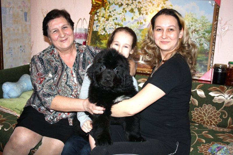 Фотография № 119670