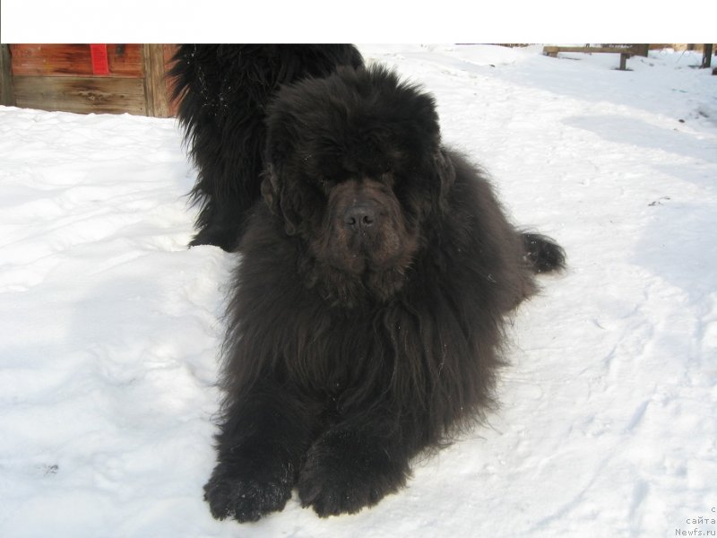 Фотография № 119671