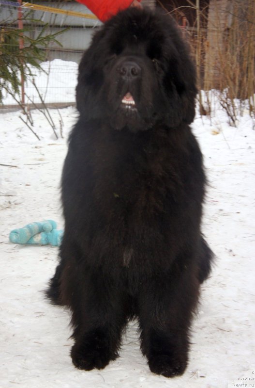 Фотография № 119699