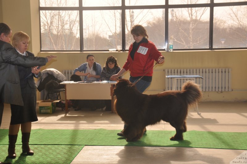 Фотография № 119707