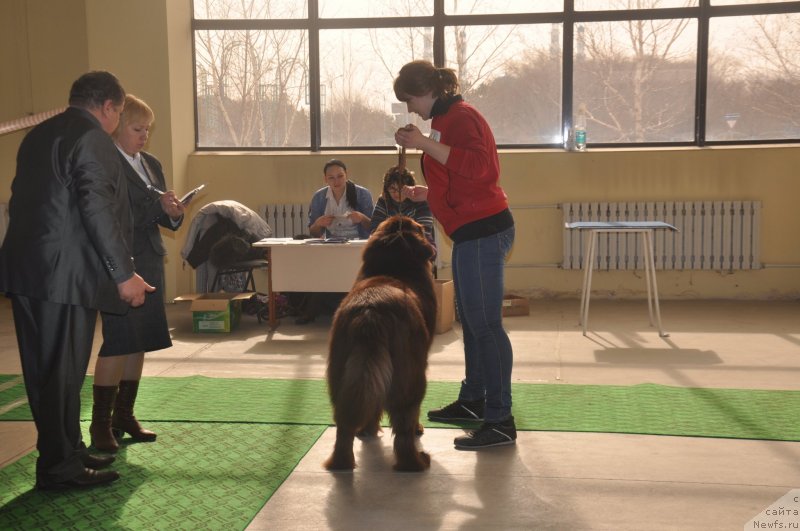 Фотография № 119708