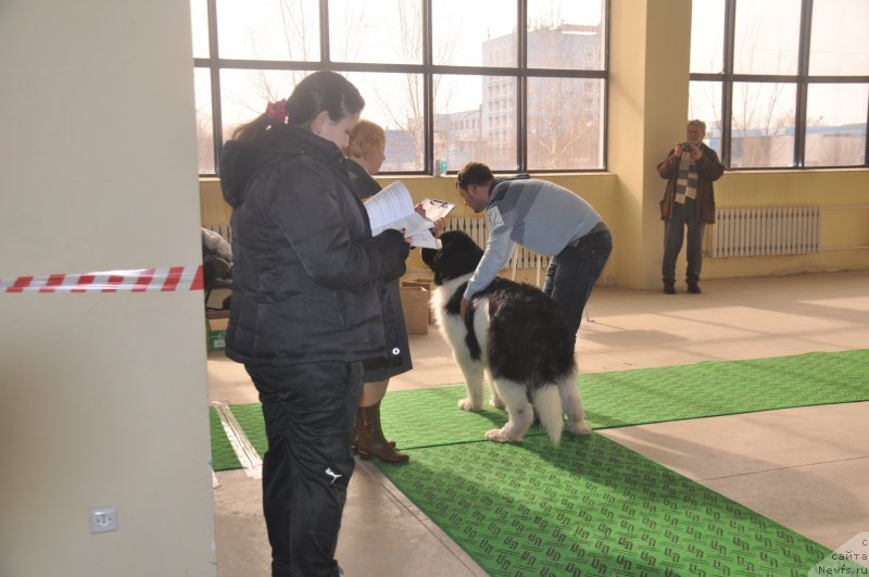 Фотография № 119709