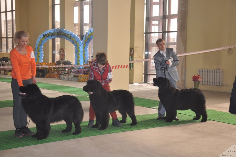 Фотография № 119714