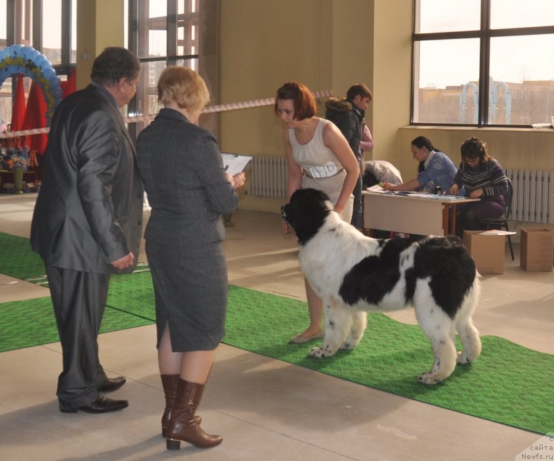 Фотография № 119718