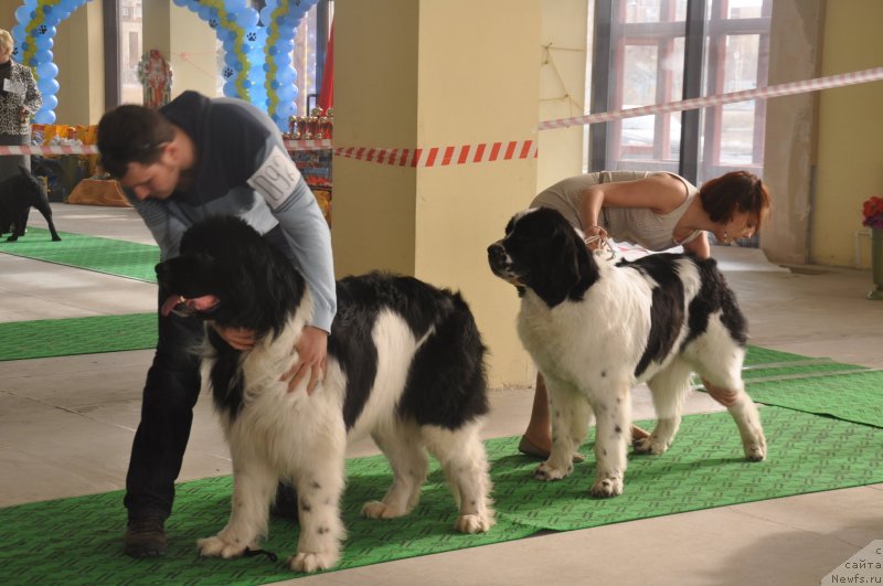 Фотография № 119719