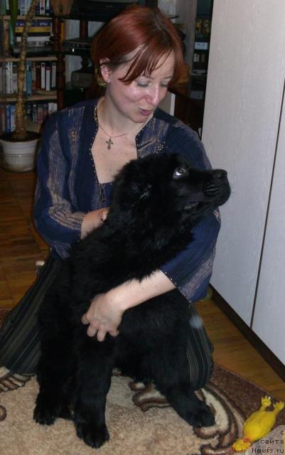 Фото: Яна Савченко