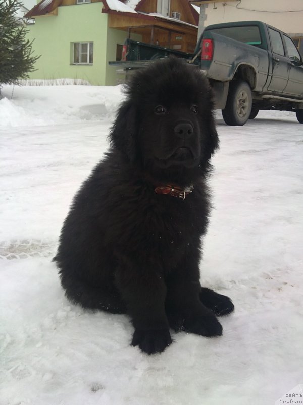 Фотография № 119898