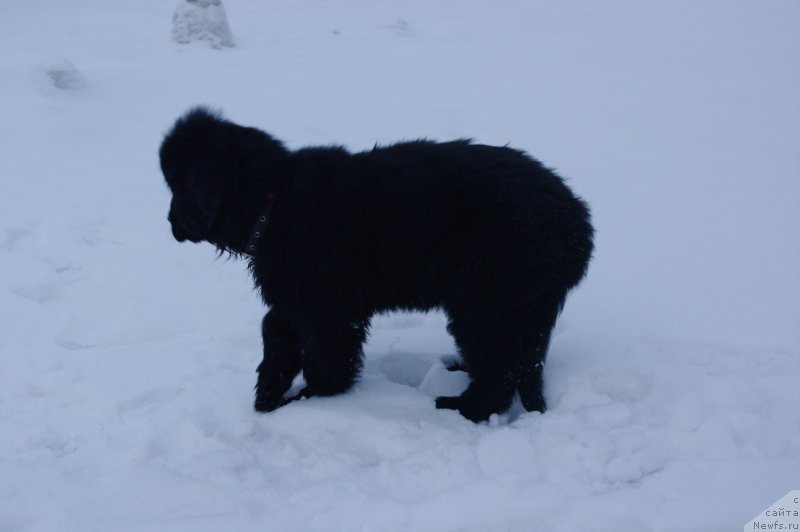 Фотография № 119915