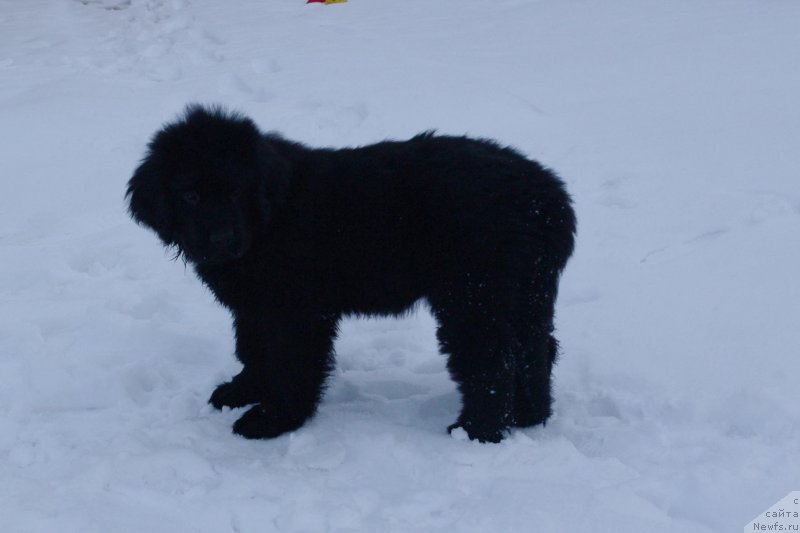 Фотография № 119916