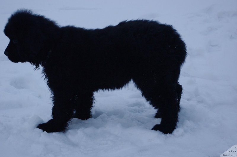 Фотография № 119918