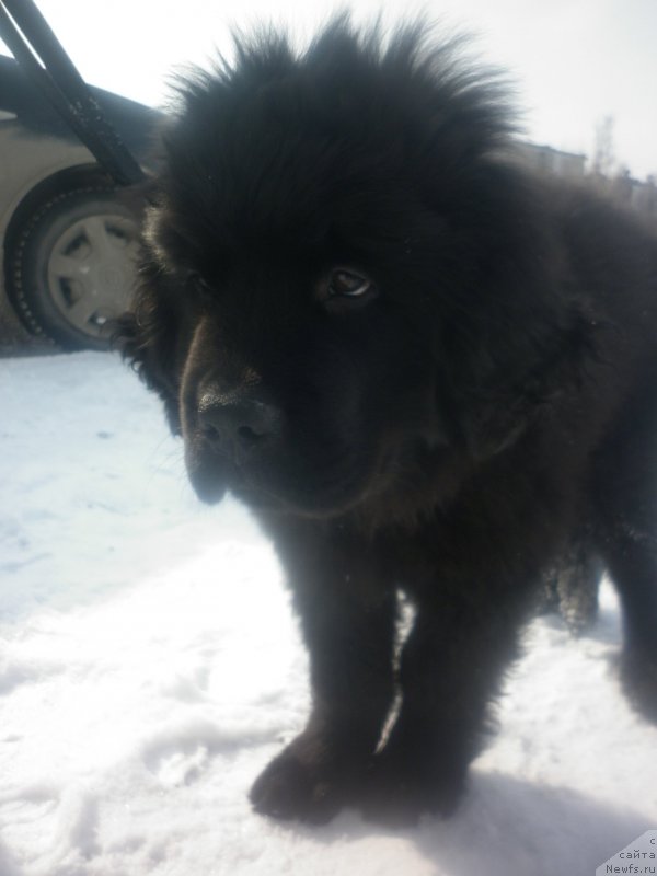 Фотография № 119920