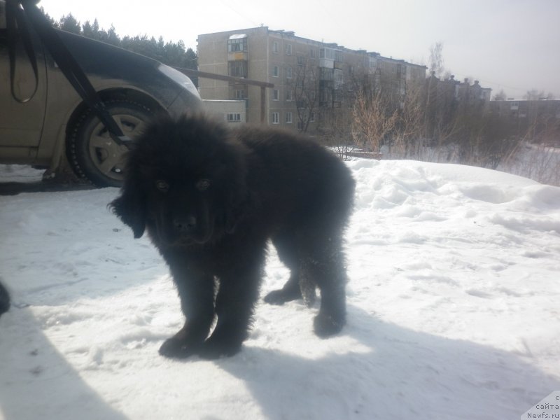 Фотография № 119922