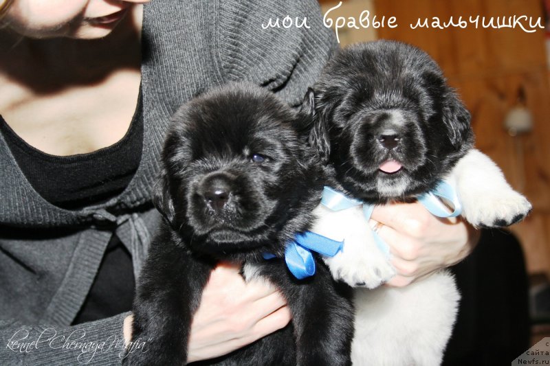 Фотография № 119991