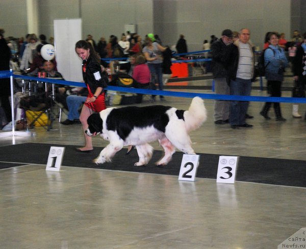 Фотография № 120032