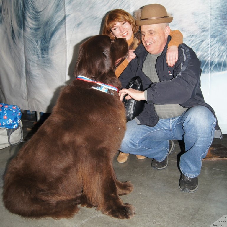 Фотография № 120048