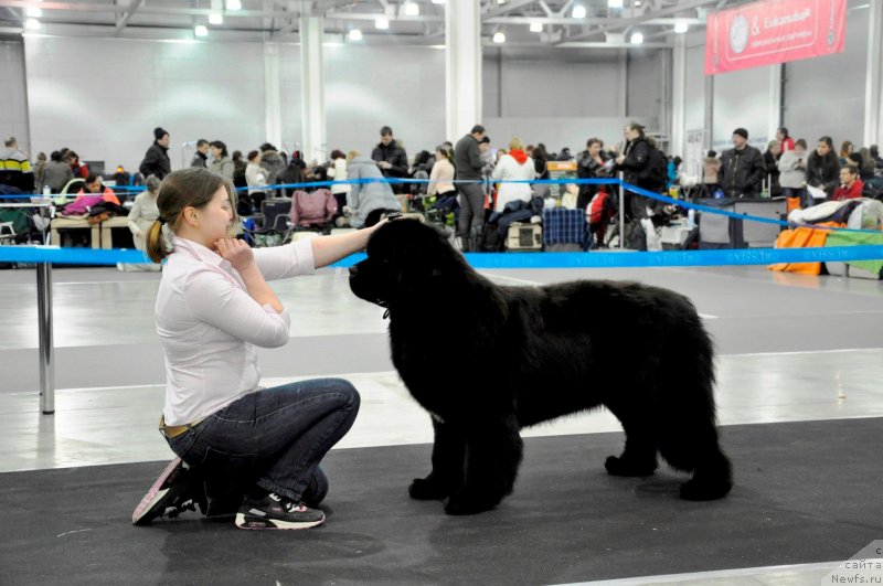 Фотография № 120072