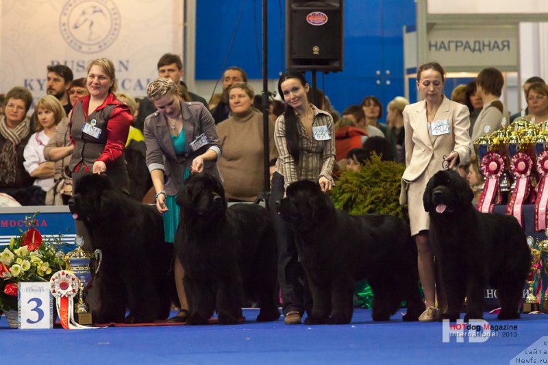 Фотография № 120073